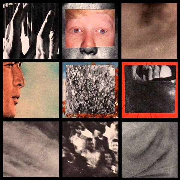 SFN / In Disgust : SFN / In Disgust (7", S/Sided)